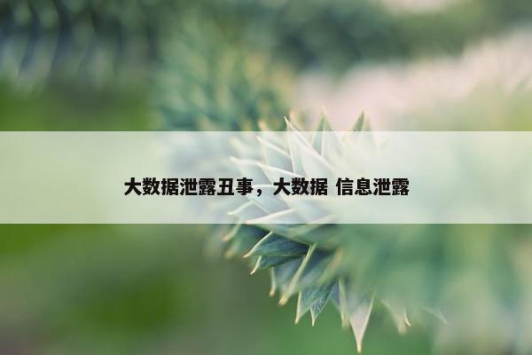 大数据泄露丑事，大数据 信息泄露