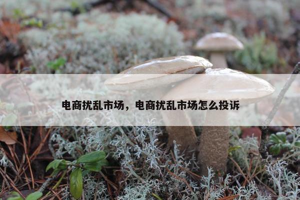电商扰乱市场，电商扰乱市场怎么投诉
