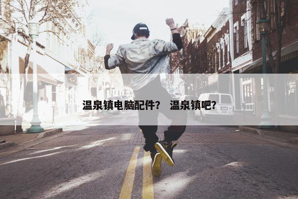 温泉镇电脑配件？ 温泉镇吧？