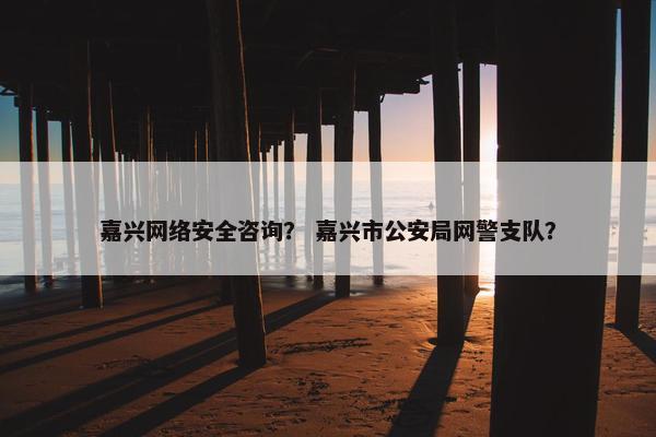 嘉兴网络安全咨询？ 嘉兴市公安局网警支队？