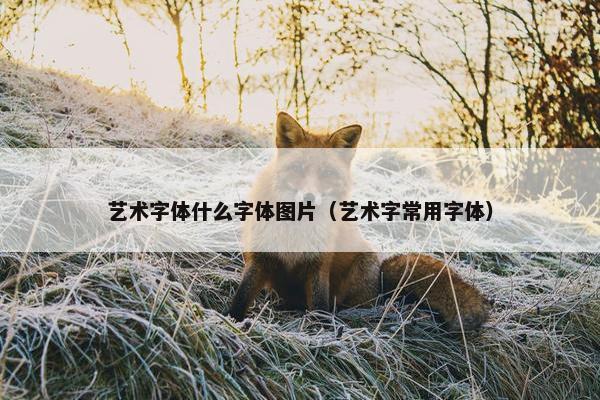 艺术字体什么字体图片（艺术字常用字体）
