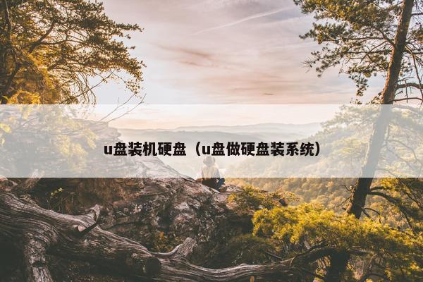 u盘装机硬盘（u盘做硬盘装系统）