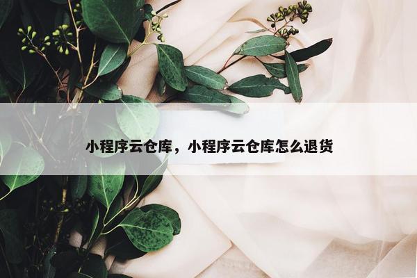 小程序云仓库，小程序云仓库怎么退货