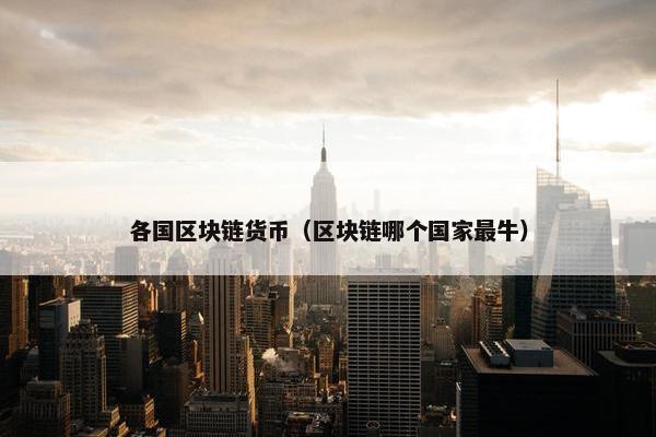各国区块链货币（区块链哪个国家最牛）