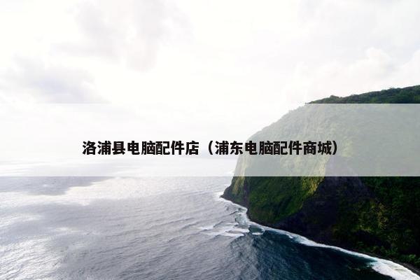 洛浦县电脑配件店（浦东电脑配件商城）