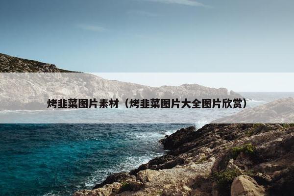 烤韭菜图片素材（烤韭菜图片大全图片欣赏）