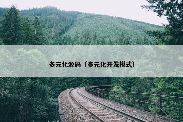 多元化源码（多元化开发模式）