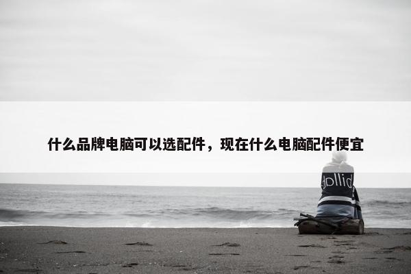 什么品牌电脑可以选配件，现在什么电脑配件便宜