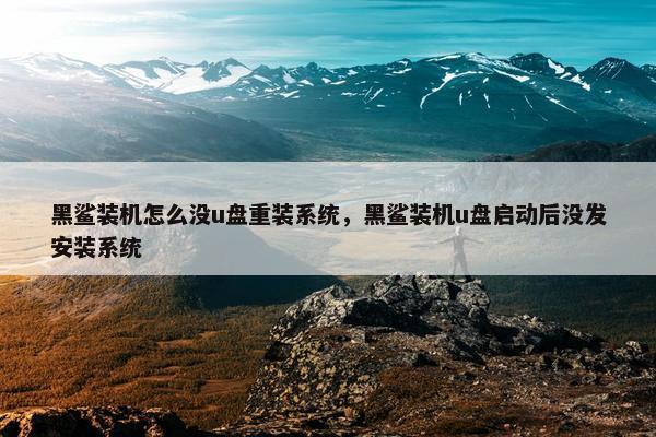 黑鲨装机怎么没u盘重装系统，黑鲨装机u盘启动后没发安装系统