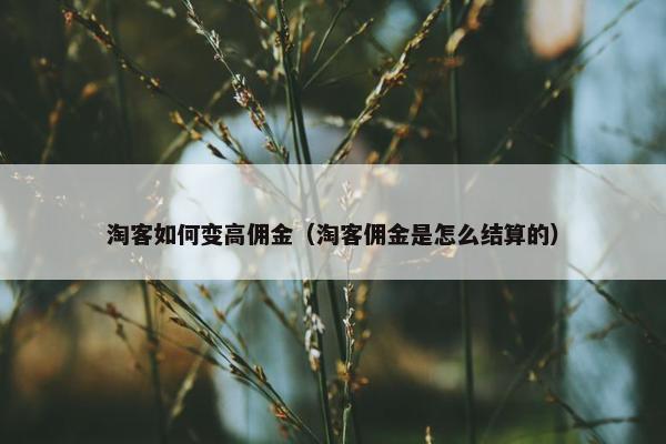 淘客如何变高佣金（淘客佣金是怎么结算的）