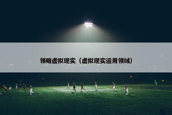 领略虚拟现实（虚拟现实运用领域）