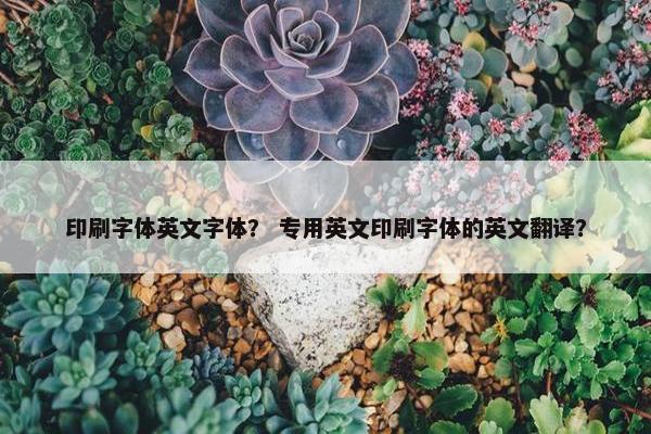 印刷字体英文字体？ 专用英文印刷字体的英文翻译？