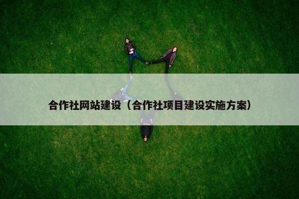 合作社网站建设（合作社项目建设实施方案）