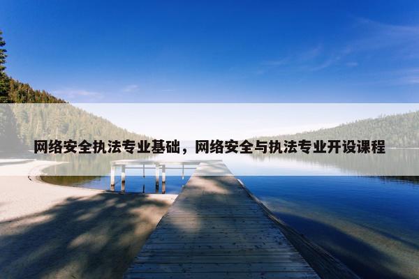 网络安全执法专业基础，网络安全与执法专业开设课程
