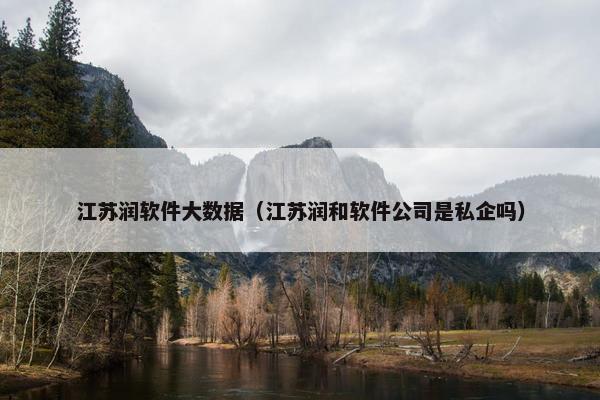 江苏润软件大数据（江苏润和软件公司是私企吗）