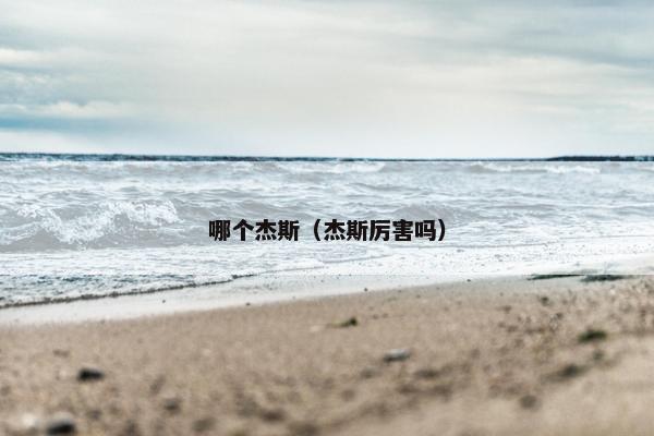 哪个杰斯（杰斯厉害吗）