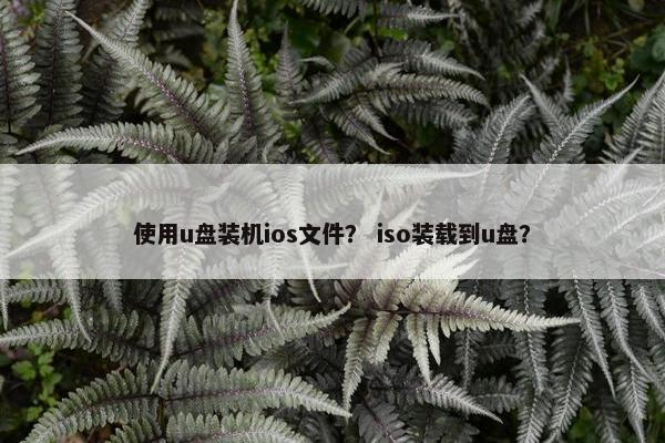 使用u盘装机ios文件？ iso装载到u盘？