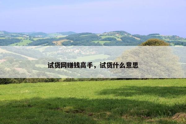 试货网赚钱高手，试货什么意思