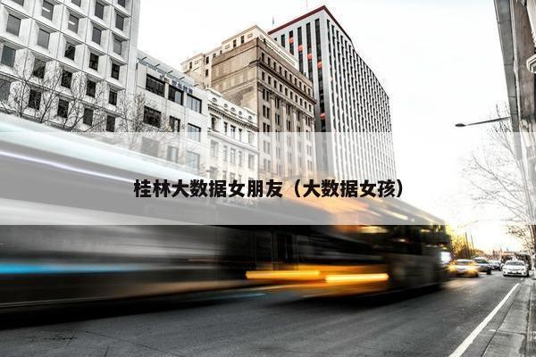桂林大数据女朋友（大数据女孩）