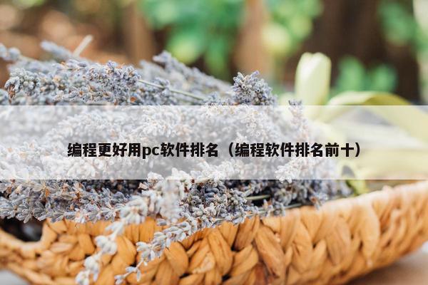 编程更好用pc软件排名（编程软件排名前十）