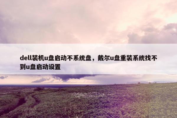 dell装机u盘启动不系统盘，戴尔u盘重装系统找不到u盘启动设置
