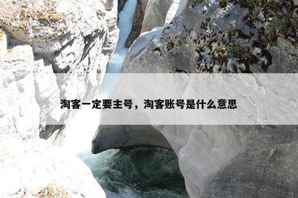 淘客一定要主号，淘客账号是什么意思