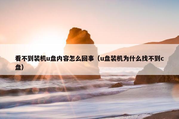 看不到装机u盘内容怎么回事（u盘装机为什么找不到c盘）