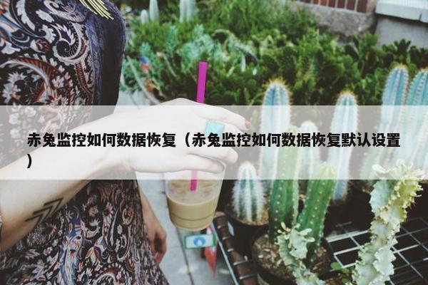 赤兔监控如何数据恢复（赤兔监控如何数据恢复默认设置）
