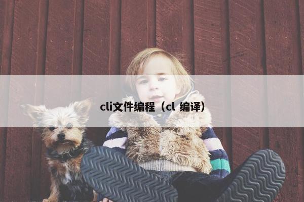 cli文件编程（cl 编译）