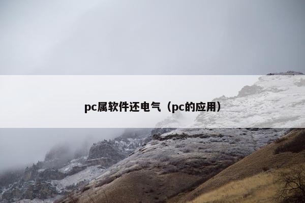 pc属软件还电气（pc的应用）