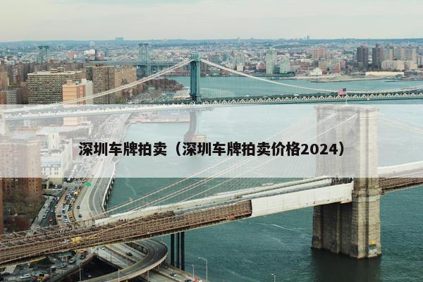 深圳车牌拍卖（深圳车牌拍卖价格2024）