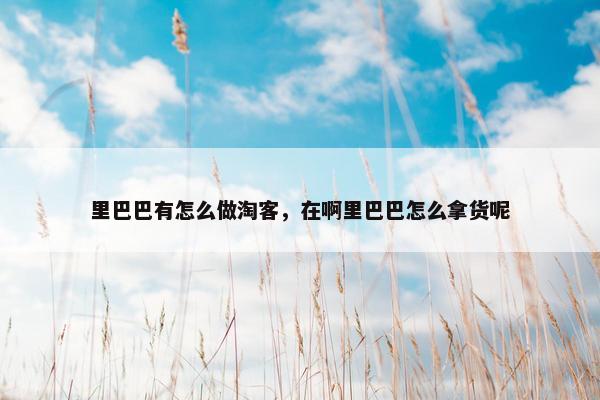 里巴巴有怎么做淘客，在啊里巴巴怎么拿货呢