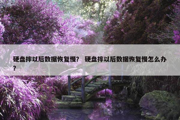 硬盘摔以后数据恢复慢？ 硬盘摔以后数据恢复慢怎么办？