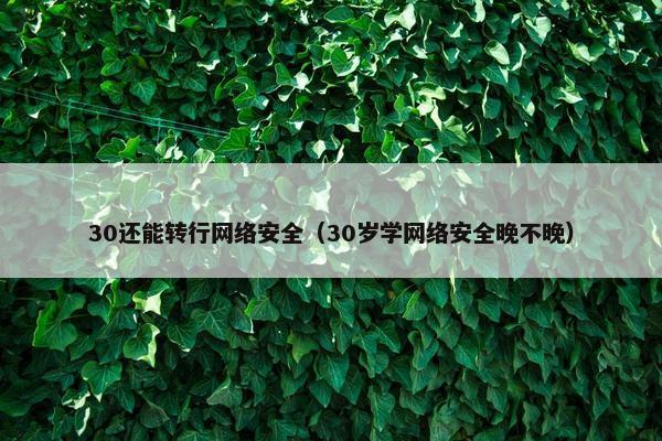 30还能转行网络安全（30岁学网络安全晚不晚）