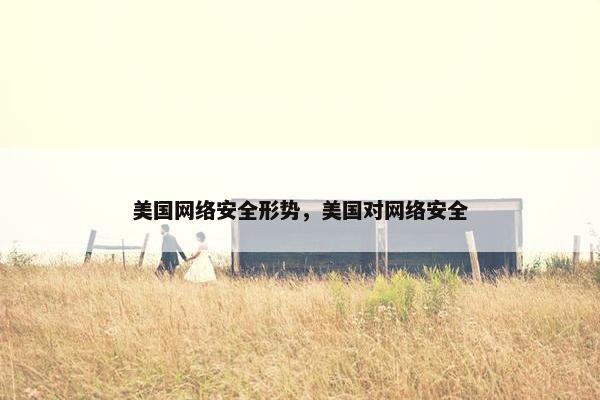 美国网络安全形势，美国对网络安全