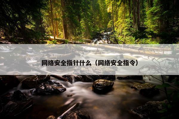 网络安全指针什么（网络安全指令）