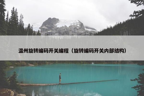 温州旋转编码开关编程（旋转编码开关内部结构）