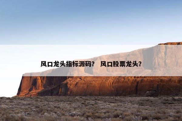 风口龙头指标源码？ 风口股票龙头？