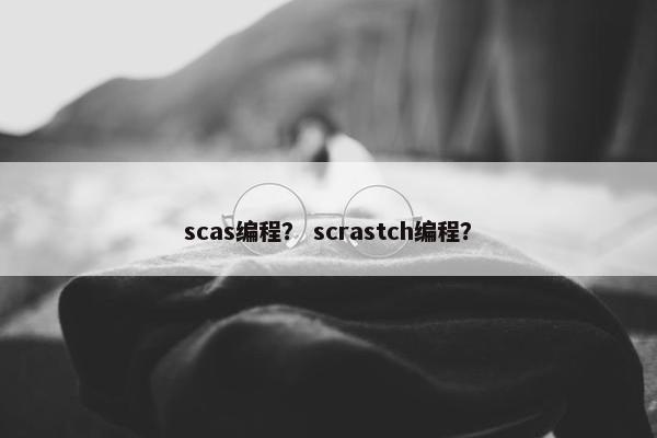 scas编程？ scrastch编程？