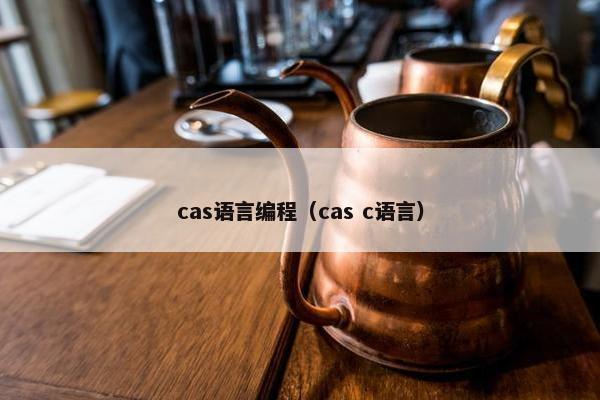 cas语言编程（cas c语言）