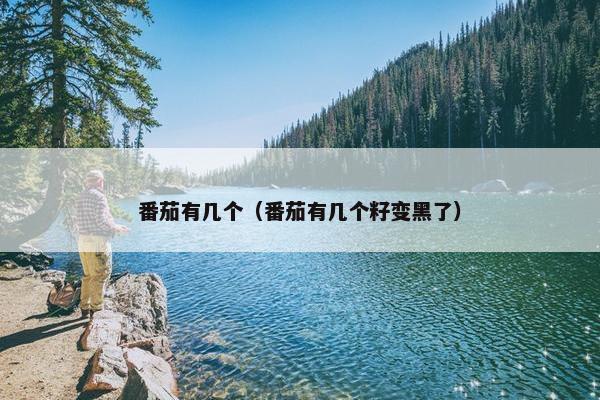 番茄有几个（番茄有几个籽变黑了）