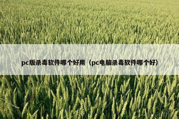 pc版杀毒软件哪个好用（pc电脑杀毒软件哪个好）