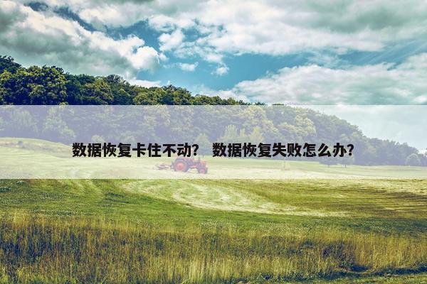 数据恢复卡住不动？ 数据恢复失败怎么办？