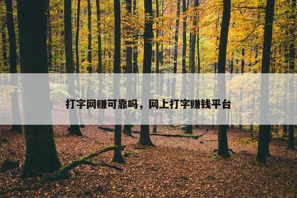 打字网赚可靠吗，网上打字赚钱平台