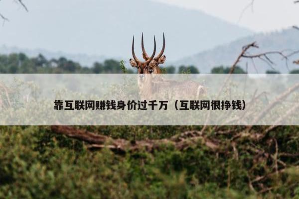 靠互联网赚钱身价过千万（互联网很挣钱）