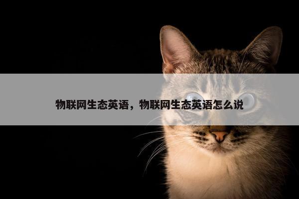 物联网生态英语，物联网生态英语怎么说