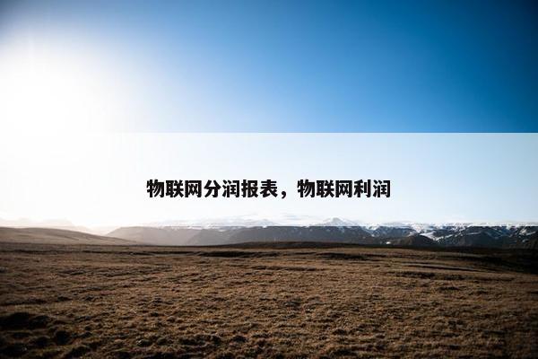 物联网分润报表，物联网利润