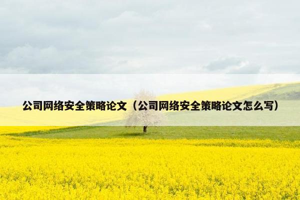 公司网络安全策略论文（公司网络安全策略论文怎么写）