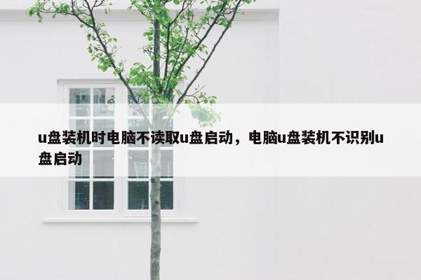 u盘装机时电脑不读取u盘启动，电脑u盘装机不识别u盘启动