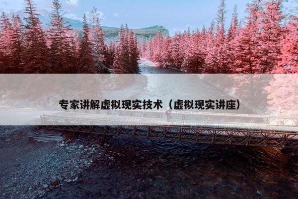 专家讲解虚拟现实技术（虚拟现实讲座）